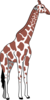 Brown And White Giraffe Clip Art